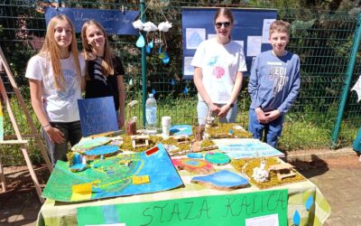 Festival zavičajnosti