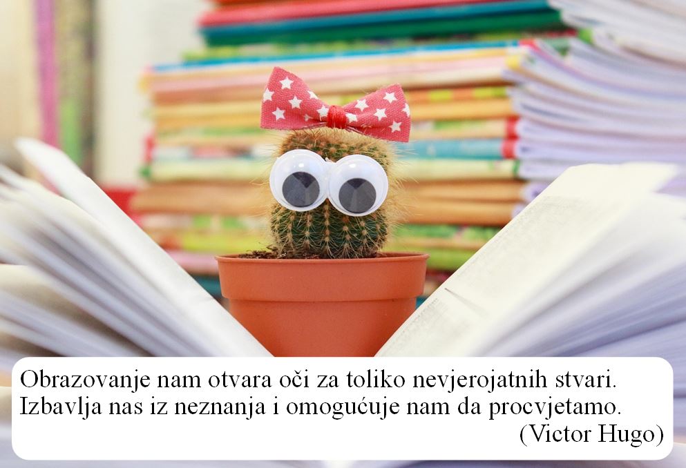 naslov