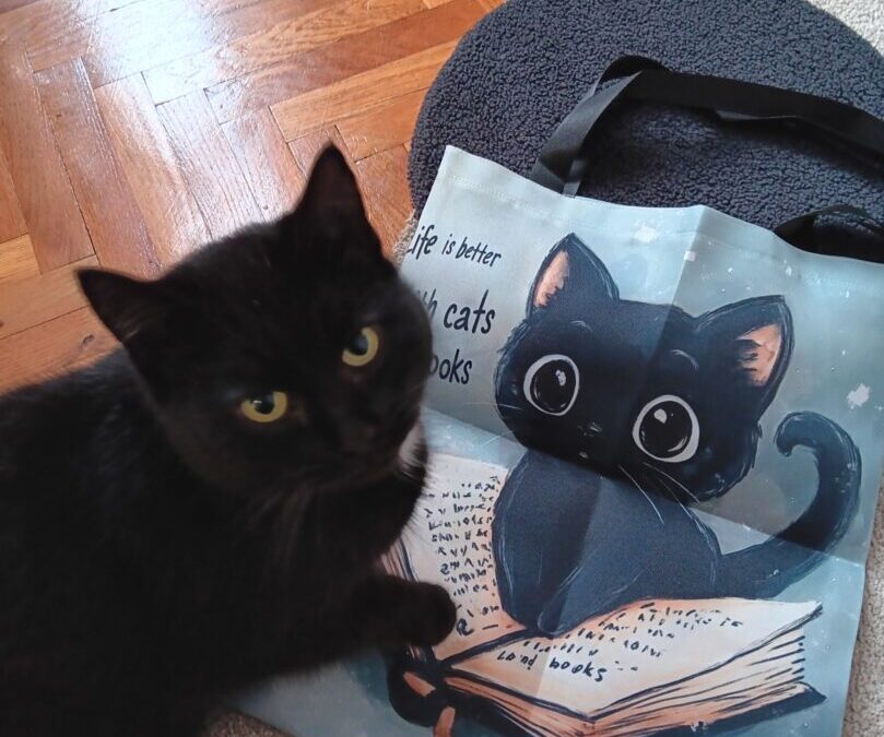 Male školske priče o brizi i odgovornosti